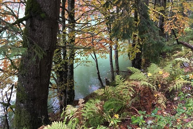 1 Day 4x4 Tour in Carpathian Mountains - What’s Included, What’s Not, And How To Avoid Hungry-Day Stress