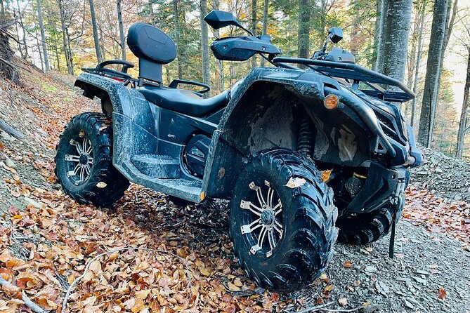 1 Day ATV Tour in Carpathian Mountains - Small Group + One Guide = More Flexibility Than You Expect