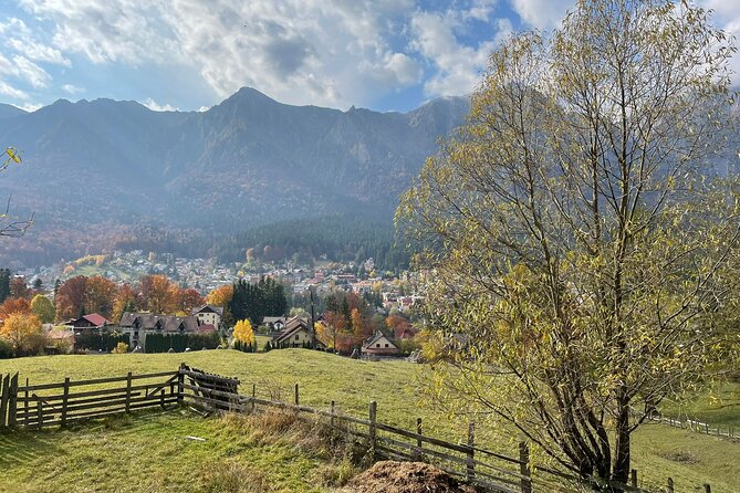 1 Day ATV Tour in Carpathian Mountains - What You Really Get For the Price