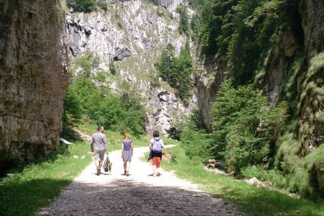 1 day CARPATHIAN PEAKS & CHALETS hike - How Hard Is It Really? Timing, Terrain, and Fitness Expectations