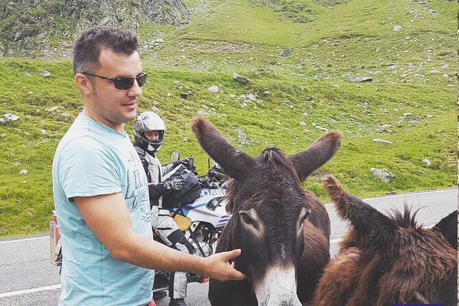 10-Day Private Tour of Romania with Pick Up - Transylvania days: salt under the earth, churches in wood, and the smaller stops that keep you from burning out