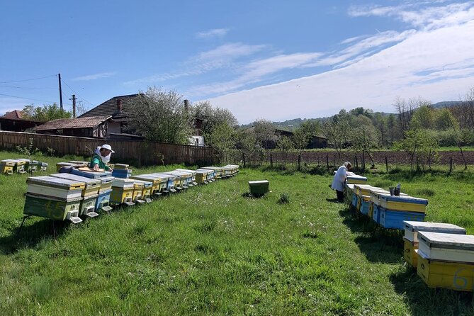 10 hours Private Apiary Tour in Romania - From Bucharest - Price and value: what $290.89 per person really buys