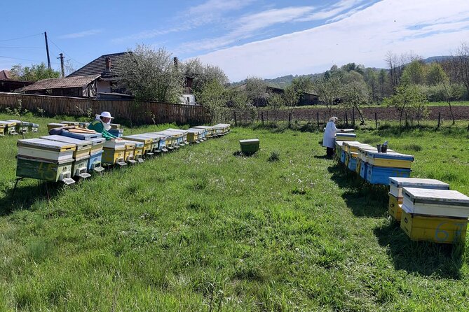 10 hours Private Apiary Tour in Romania - From Bucharest - Lunch, honey tasting, and the real point of farm food