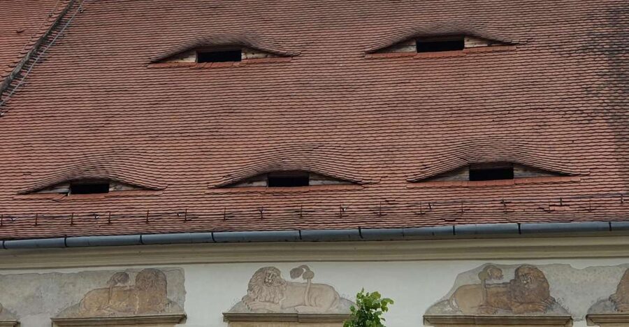 2 Day Private Tour from Bucharest in Transylvania - From Bucharest pickup to Sinaia and the feeling of mountain Romania