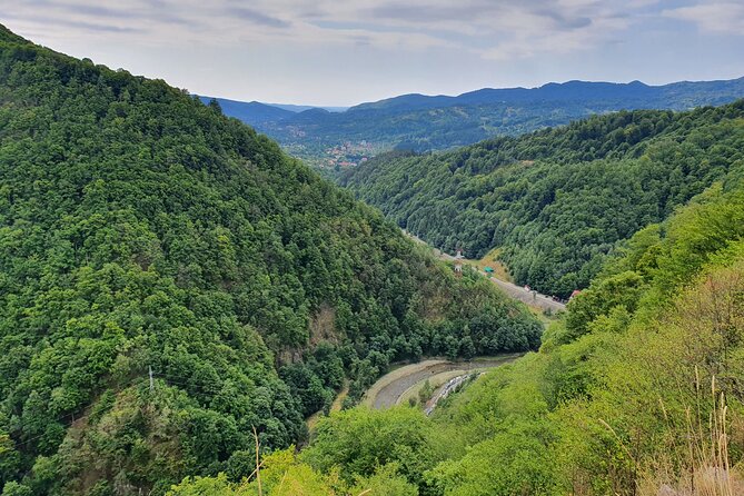 2-Day Small-Group Tour in Transylvania from Bucharest - Maximum 5 Persons - Your driver-guide setup: comfort, language, and a plan that sticks