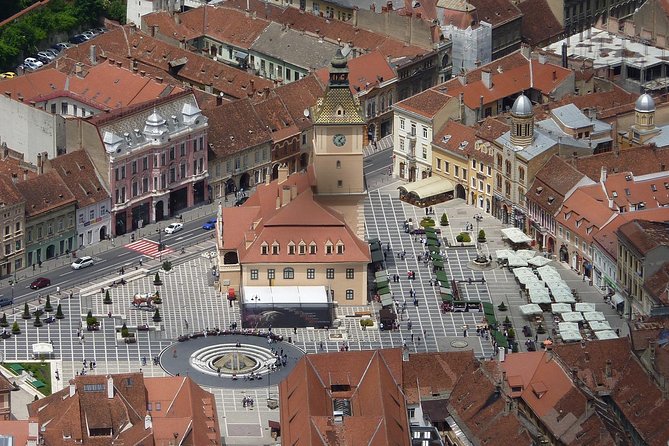 2-Day Small-Group Tour to Dracula's Castle, Rasnov Fortress, Peles Castle, Sighisoara and Libearty Brown Bear Sanctuary with Overnight in Brasov - Libearty Bear Sanctuary Zărnești: real animal time, not zoo vibes