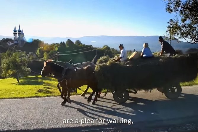 2 Days Private Tour Transfagarasan Road & Sibiu from Bucharest - Price and value: what $711.50 per person really buys