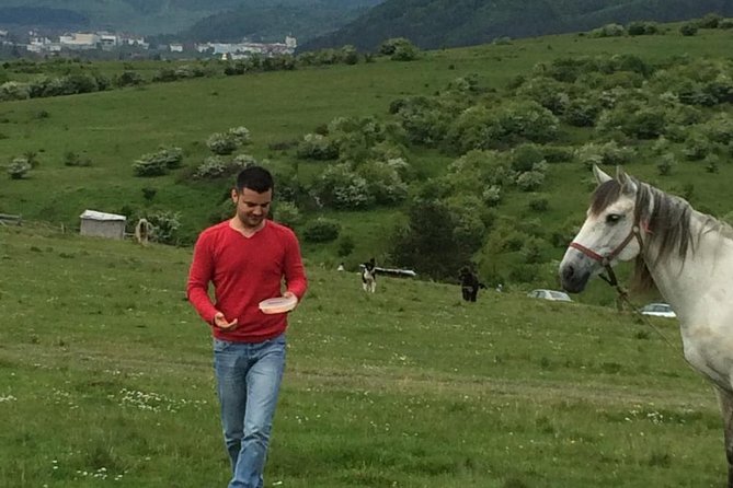 2 Days Private Tour Transfagarasan Road & Sibiu from Bucharest - Transfăgărășan Highway: when the road becomes the highlight