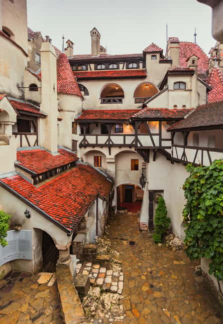 3 Castle Bucharest: Dracula Castle, Wednesday & Peles Castle - Guides, audio, and how to make the stories stick
