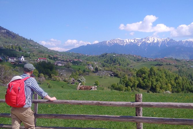 4-Day Carpathian Trek: Bucegi Mountains and Piatra Craiului National Park - Brasov start times, vehicles, and how the days really flow