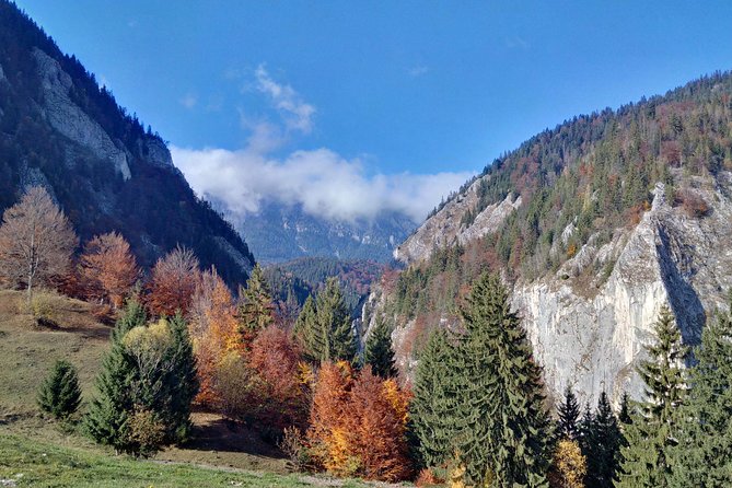 4-Day Carpathian Trek: Bucegi Mountains and Piatra Craiului National Park - Shepherd’s Peak (2238 m): the day steep enough to matter