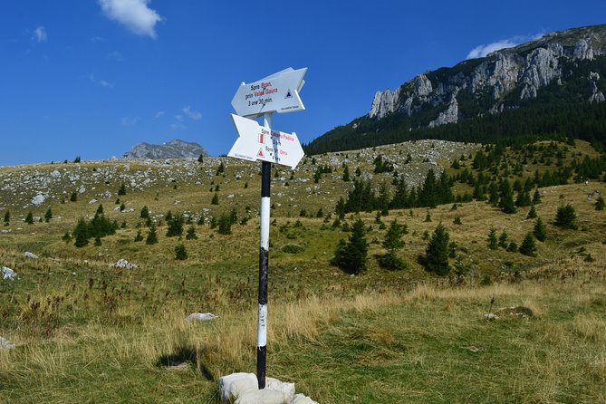 4-Day Carpathian Trek: Bucegi Mountains and Piatra Craiului National Park - Guesthouses and meals: what you’re sleeping and eating through