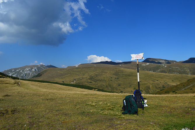 4-Day Carpathian Trek: Bucegi Mountains and Piatra Craiului National Park - Guides who actually manage trails, not just talking points