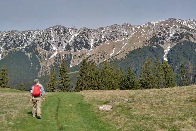 4-Day Carpathian Trek: Bucegi Mountains and Piatra Craiului National Park - Bucegi Mountains: Bran village trails and a sheep farm stop