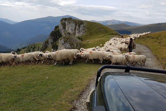 4x4 Driving Experience at Flying Altitudes - 7 Days - Day 6: Sinca Veche monastery views, Barsa Land off-road, and Poiana Brasov rest
