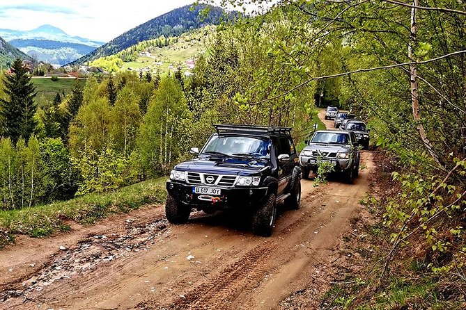 4x4 Nature Tour in Land of Dracula - 1 day - Price and Value: What $218.98 Covers, and What to Budget Extra