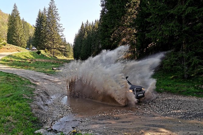 4x4 Nature Tour in Land of Dracula - 1 day - When This Tour Fits Best (and When It Might Not)