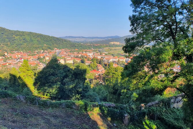 6 Days Private Tour in Romania Spectacular Places from Bucharest - Day 2: Brasov break, Bran Castle, and Rupea Fortress views