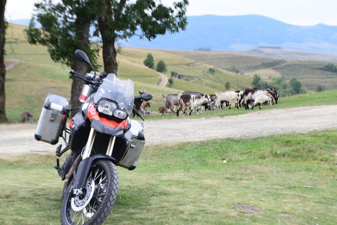 7 Day Best of Transylvania Motorcycle Tour from Cluj - Riding days that demand focus: Transbucegi, Transfagarasan, Poienari