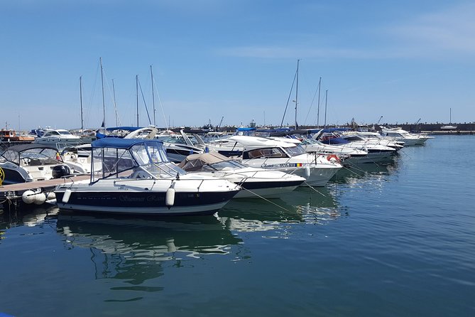 A day by the Black Sea Shared Group Tour from Bucharest - Constanta walking tour: harbor views, Casino Constanta, and the cathedral area