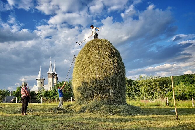 A Journey Back in Time: Countryside from Transylvania and Maramures - 15 Days - Bran Castle, Rasnov Citadel, and a bear sanctuary with real forest vibes