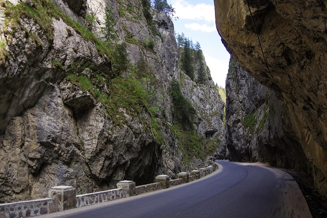 Adventure day trip from Iasi | Hiking in the Carpathian Mountains - Price and Value: Paying $231.19 for a Guided Mountain Day