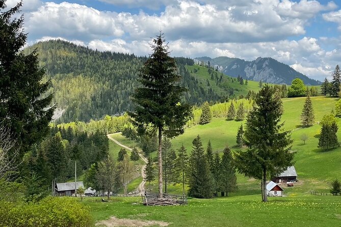 Adventure day trip from Iasi | Hiking in the Carpathian Mountains - Getting What You Need: Hiking Gear Is Not Included