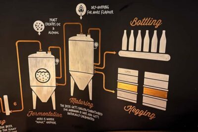 Artisanal Beer Tasting
