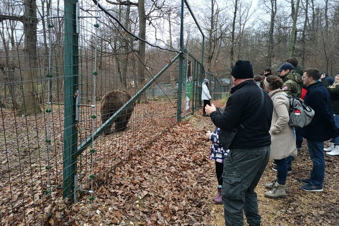 Bear Sanctuary and Bran Castle from Brasov - A calm, guided ride to Zarnesti and Bran
