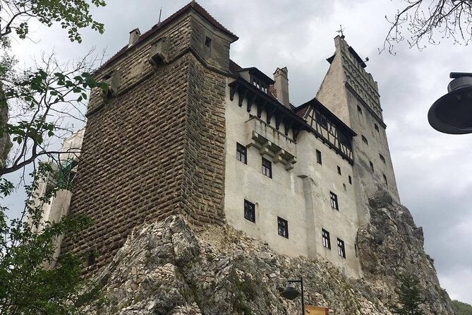 Bear Sanctuary and Bran Castle from Brasov - Your 90 minutes at the sanctuary: what to expect on the ground