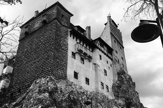 Bear Sanctuary and Bran Castle from Brasov - Comfort, photos, and the extras that make the day feel worth it