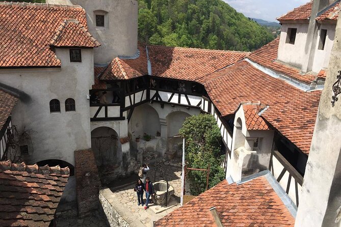 Bear Sanctuary and Bran Castle from Brasov - Who this Brasov tour suits best