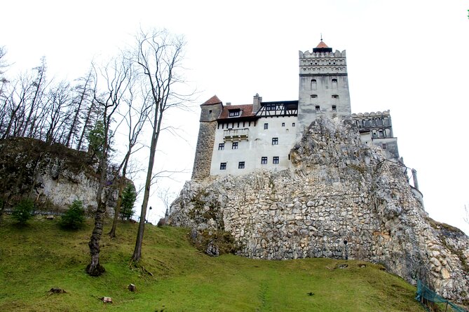 Bear Sanctuary and Bran Castle from Brasov - Price and value: what is included, what to pay at the gates