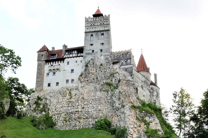 Bear Sanctuary and Dracula's Castle, 1-day Private Tour - How the private guide changes the experience (Daniel, Alex, and beyond)