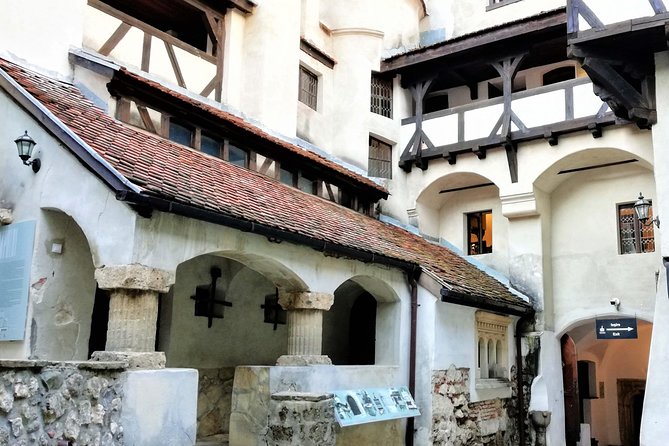 Bear Sanctuary and Dracula's Castle, 1-day Private Tour - What you should bring: shoes, layers, and phone power