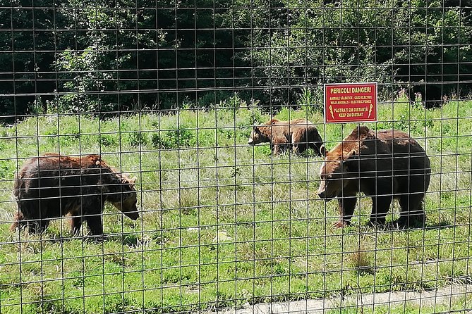 Bear Sanctuary and Dracula's Castle, 1-day Private Tour - Price and value: is $276 per person worth it?