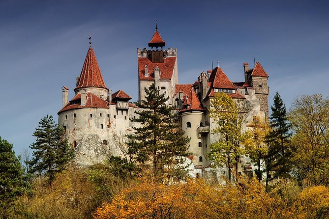 Bear Sanctuary, Bran (Dracula) Castle, Peles Castle From Brasov - A tight 3-stop day from Brasov that actually feels efficient