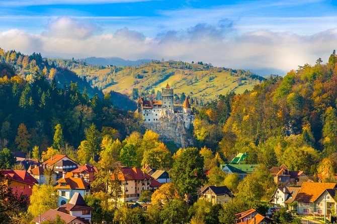 Bear Sanctuary, Bran (Dracula) Castle, Peles Castle From Brasov - Stop 1, Liberty Bear Sanctuary Zarnesti: nature time with real context