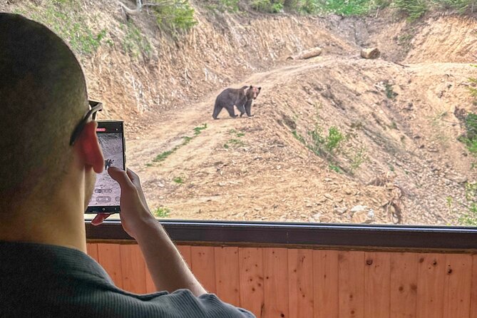 Bear Watching In Brasov: Observe Wild Bears From A Hideout (100%) - Price and Value: Is $98.78 Worth It?