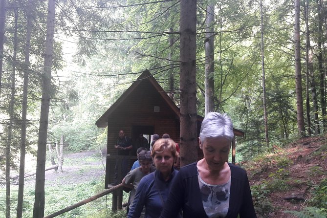Bear Watching in The Wild from Brasov (100 %) - Who This Trip Fits Best (And Who Might Want Another Plan)