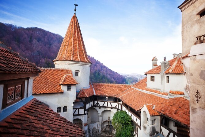 Bears Sanctuary, Dracula Castle and Poiana Brasov-Private day tour from Brasov - Bran Castle, Dracula legend, and how to plan your time inside