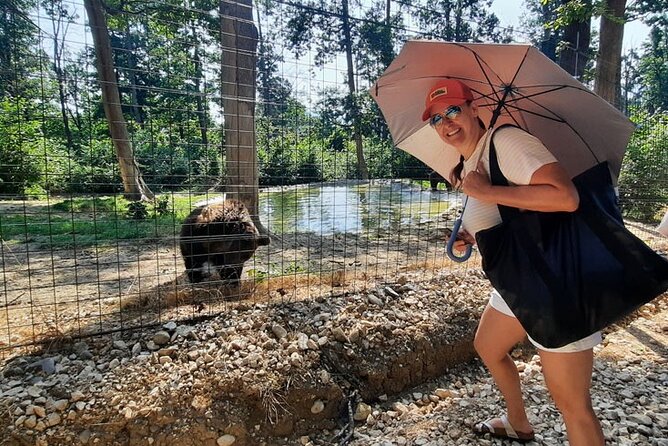 Bears Sanctuary, Dracula Castle and Poiana Brasov-Private day tour from Brasov - Price and value: what you pay for, what you pay onsite