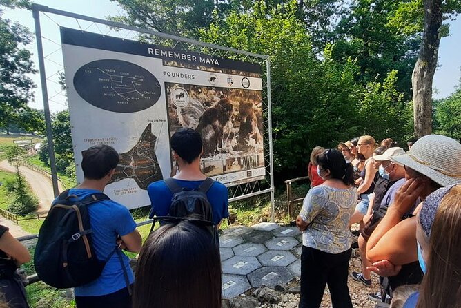 Bears Sanctuary, Dracula Castle and Poiana Brasov-Private day tour from Brasov - Guide and comfort: why the private format works for families