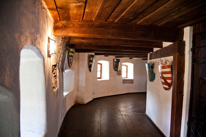 Bears Sanctuary, Dracula Castle and Poiana Brasov-Private day tour from Brasov - Libearty Bear Sanctuary in Zarnesti, and why mornings are best