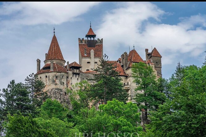 Bears Sanctuary, Dracula's Castle and Brașov City - Private Tour - Libearty Bear Sanctuary in Zărnești, what you’ll really see