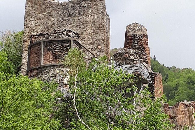 Bears Sanctuary, Dracula's Castle, Brasov Day Trip Private Tour from Bucharest - How Private Transport Changes the Day From Busy to Comfortable