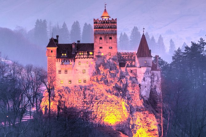 Bears Sanctuary, Dracula's Castle, Brasov Day Trip Private Tour from Bucharest - Booking Advice: How to Make This Day Trip Feel Like a Win