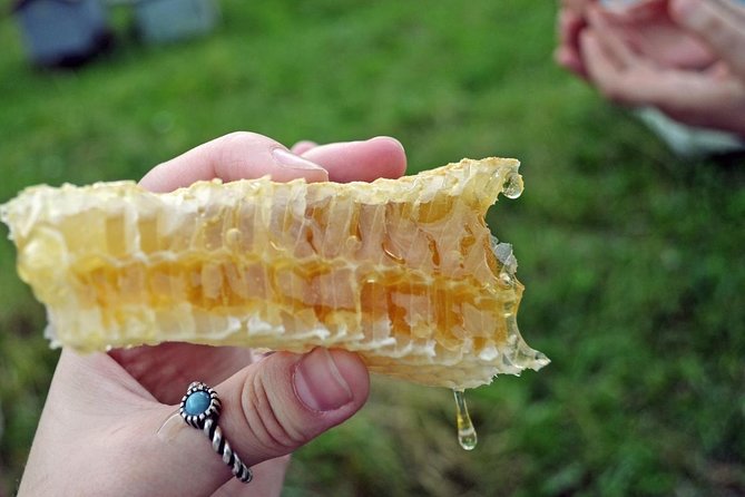 Beekeeping Day Trip| Private Guided Tour from Bucharest - Your guide Nicolas: why this tour is interactive, not just informational