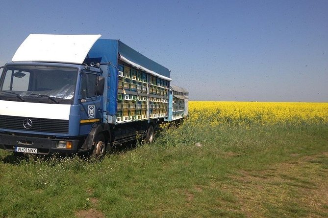 Beekeeping Day Trip| Private Guided Tour from Bucharest - Honeybee products for dessert: tasting with a new understanding
