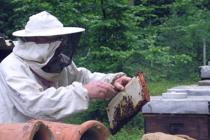 Beekeeping Day Trip| Private Guided Tour from Bucharest - Price and value: what $413.44 covers on a private 10-hour day